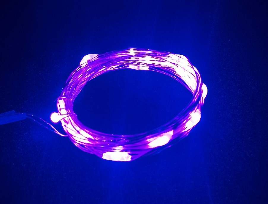 Purple seed lights