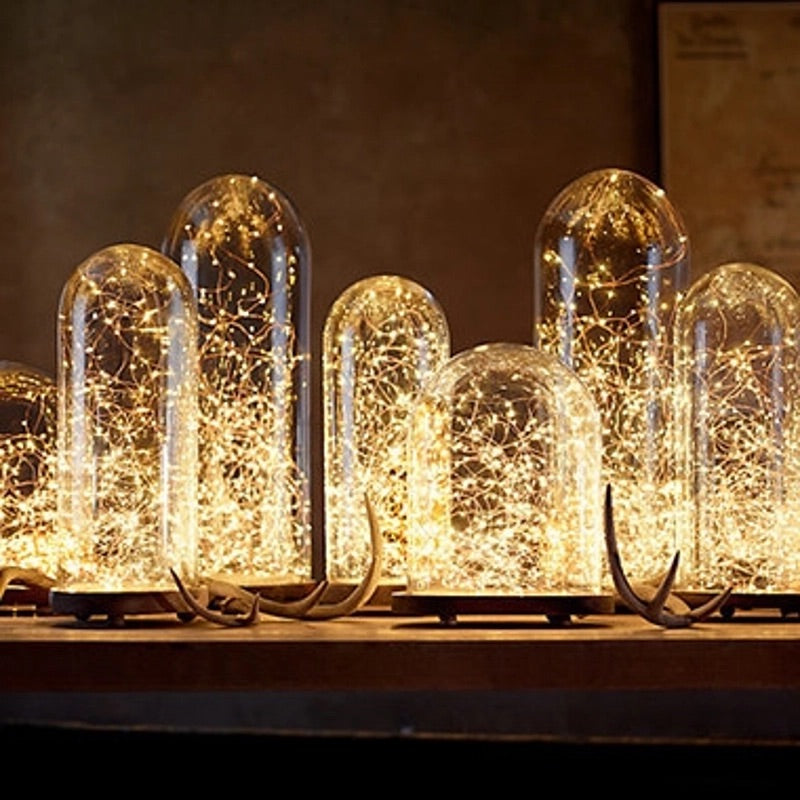 2 Metre Battery Operated Seed Lights