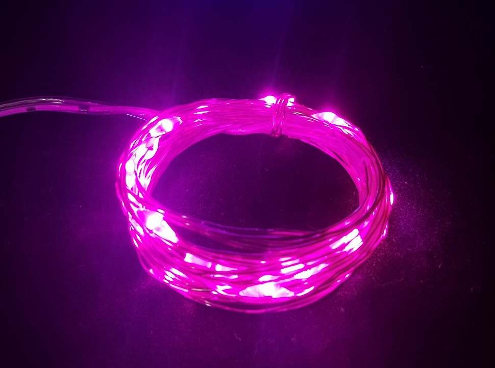 Pink Seed lights